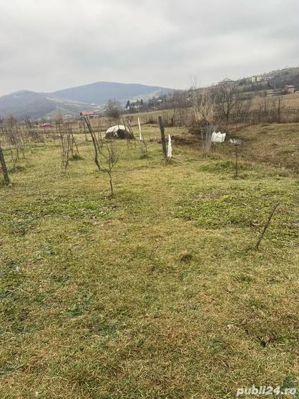 Teren de 4750 mp, în Chicerea
