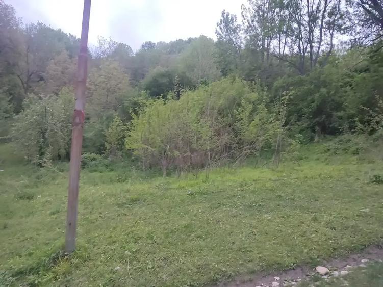Teren intravilan | Provița de Sus | Breaza | PRAHOVA - 3