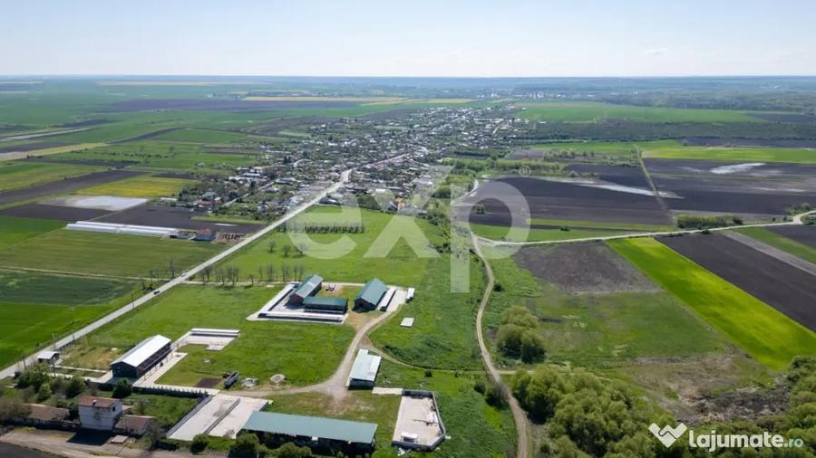 Teren în Crânguri