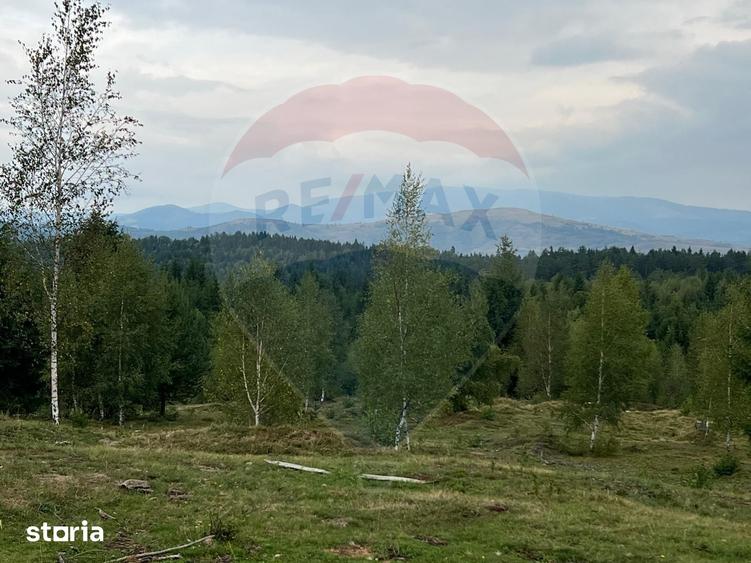 Teren extravilan parcelabil Cala?ele Padure, zona Dealu Negru - 10