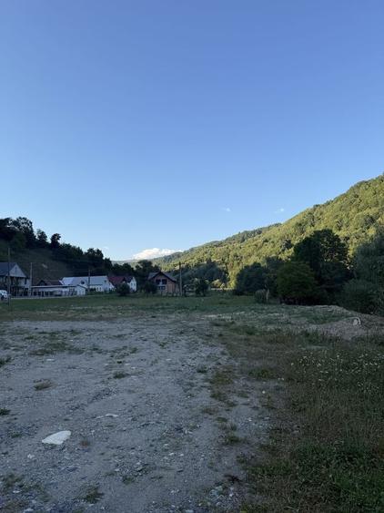 Teren de 4000 mp, în Rebra