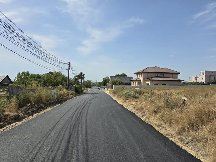 Teren Construcții intravilan de 8000 mp, în Lazu
