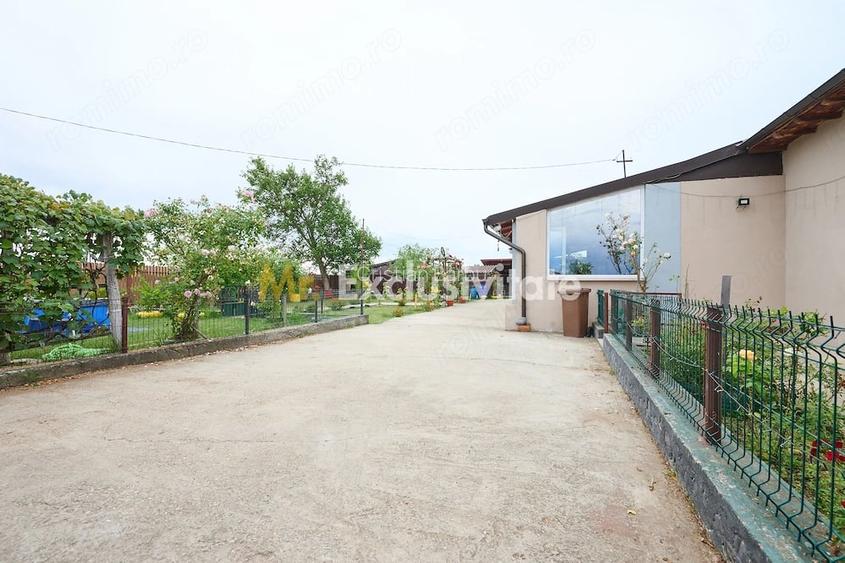 Casa cu teren generos Vedea-Arges