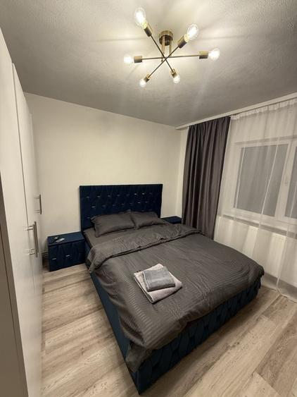 Apartament cu 2 camere decomandat în Rovine