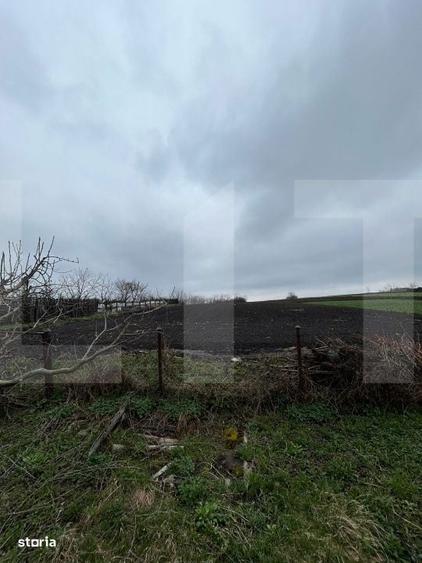 Casa din caramida, cu teren 5810 mp - Calinesti - 1