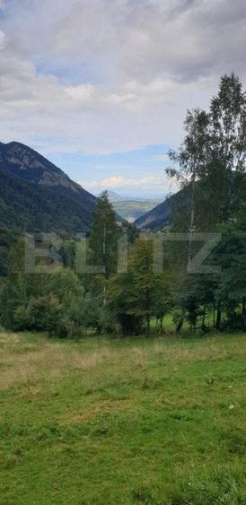 Teren 13.570 mp, Moieciu Pestera - 11