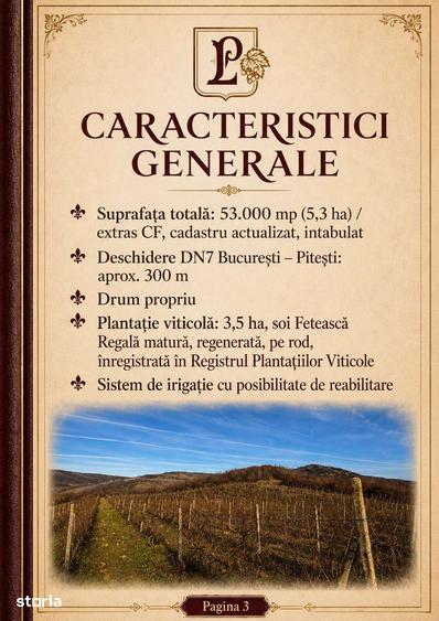 Teren de 53000 mp, în Călinești