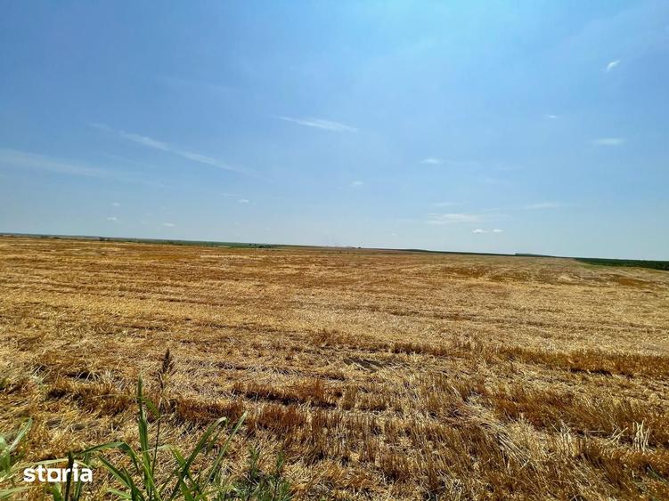 Teren de 1030000 mp, în Biled