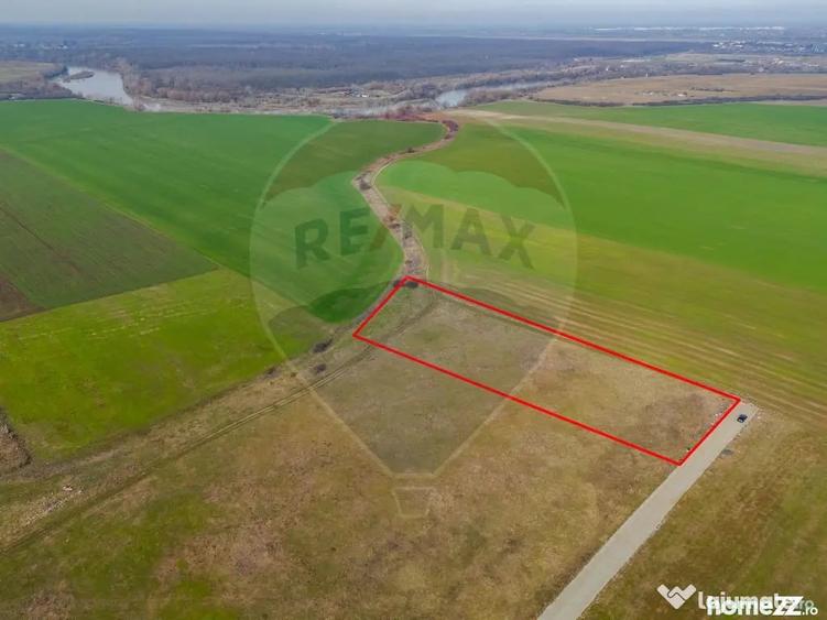 Teren intravilan 10.000 mp in Zona Industriala Sud Arad - 4