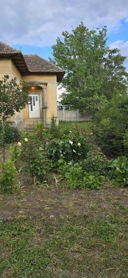 Casă individuală cu 4 camere cu Teren 2000 Mp în Izvoare