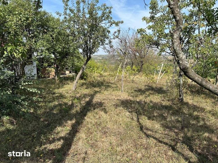 Teren de 1665 mp, în Podgoria