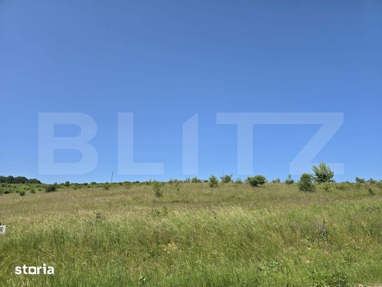 Teren de 1200 mp, în Ciurila