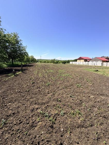 Casă individuală cu 6 camere cu Teren 3000 Mp în Exterior Nord