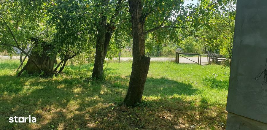 Casă cu 2 camere cu Teren 3000 Mp în Zdrapți