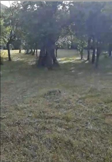 Casă cu Teren 3000 Mp în Coza