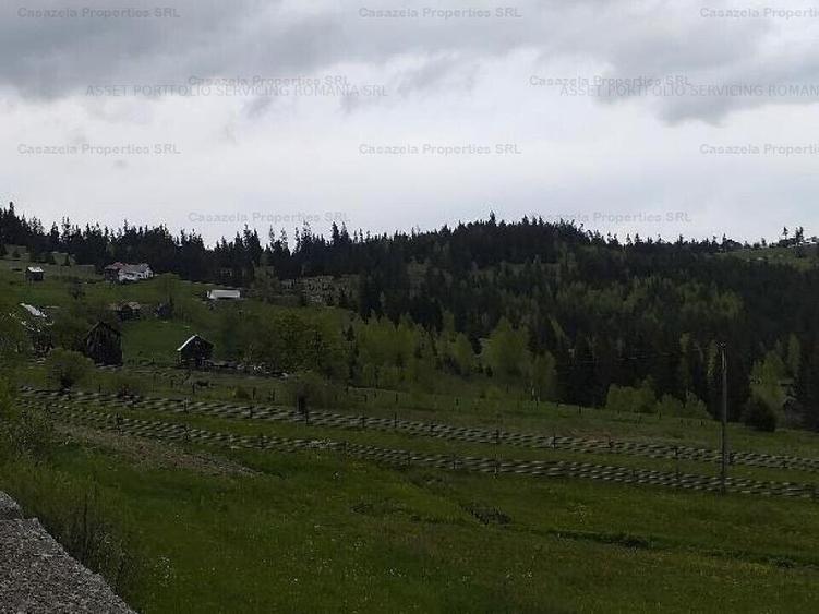Teren 14.485 m.p. - Iacobeni, Suceava - 4