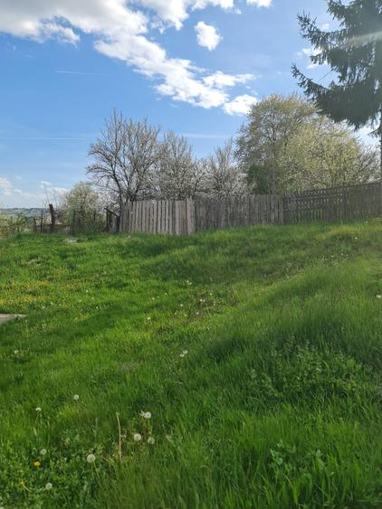 Casă cu 2 camere în Central