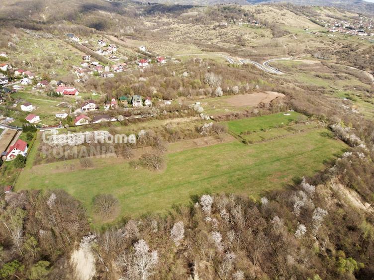 Teren Construcții intravilan de 23345 mp, în Cornu de Jos (Cornu)