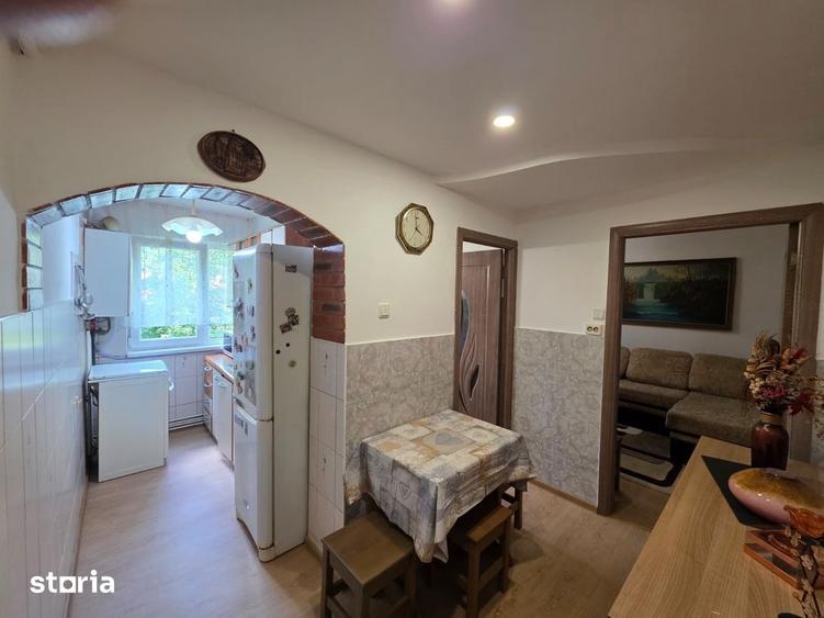 Apartament cu 2 camere Dambu Pietros - 17