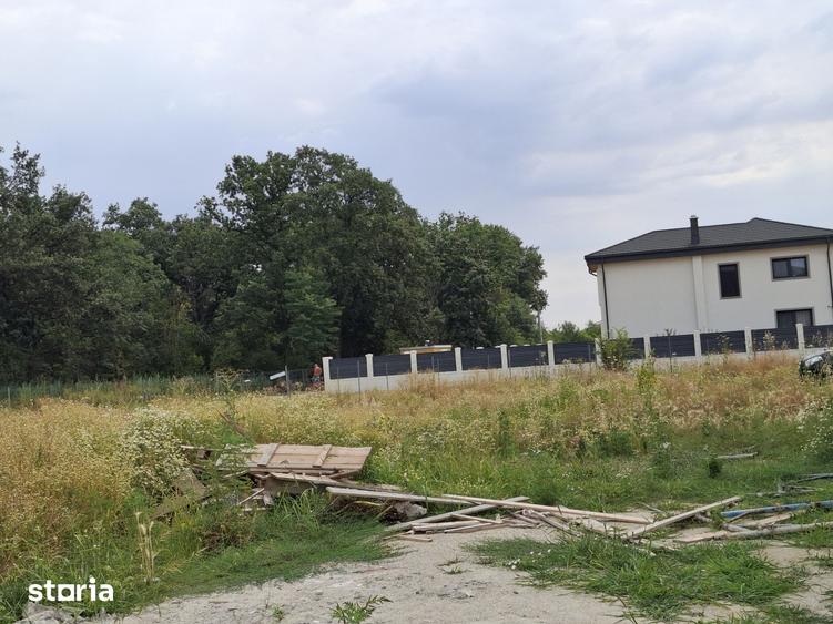 Teren de 1600 mp, în Cernica