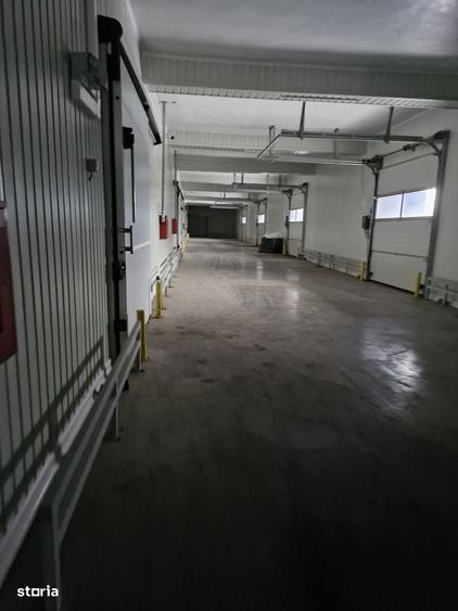 Hale depozitare de la 260mp cu sau fara inst. frig inaltime pana la 7m - 13