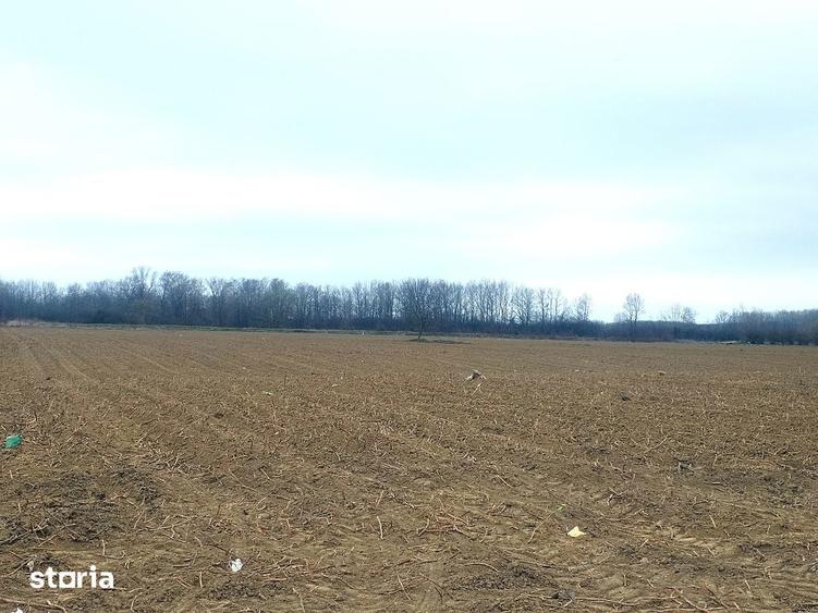 Teren de 15000 mp, în Gura Ocniței
