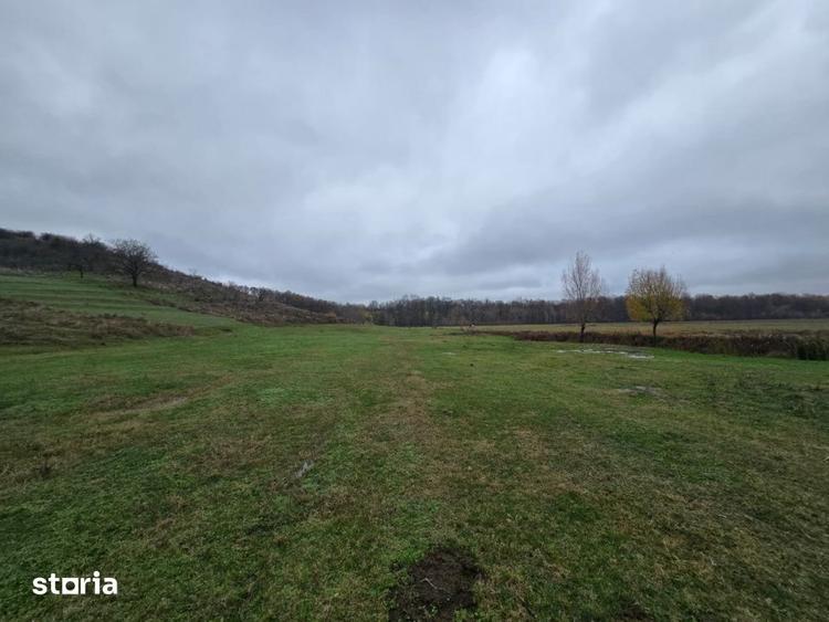 Teren de 100000 mp, în Albota