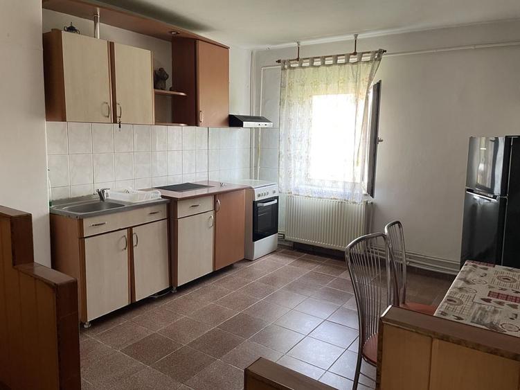 Apartament 2 canere Rovine - 2