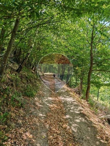 Casă individuală cu 4 camere cu Teren 930 Mp în Valea Ierii