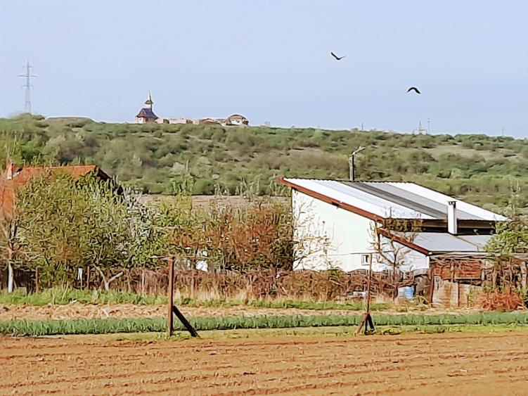 Teren agricol extravilan de 4923 mp, în Sântuhalm