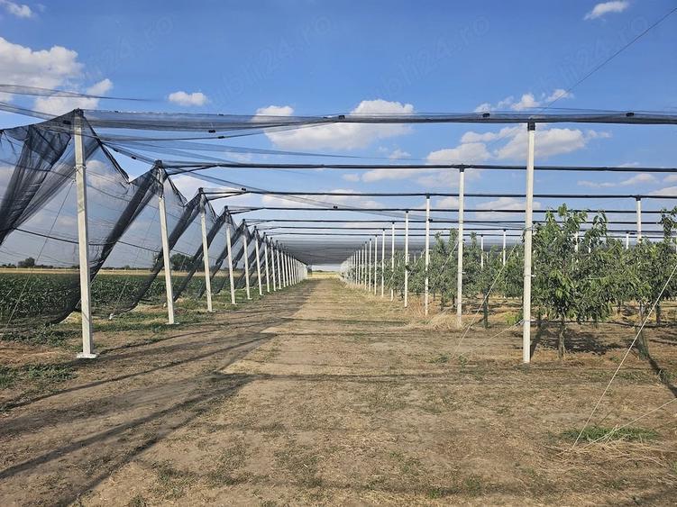 Spațiu comercial, de 100,000 mp, în Central