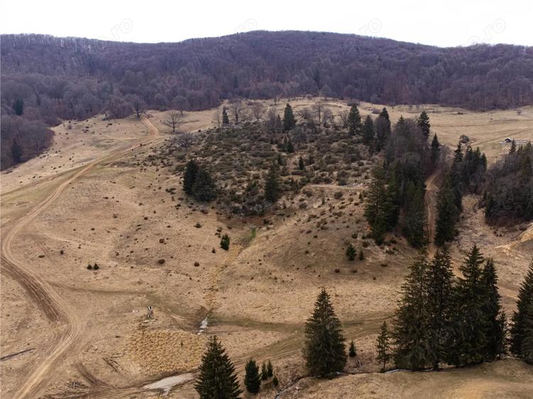 Teren de 6500 mp, în Poiana Brașov