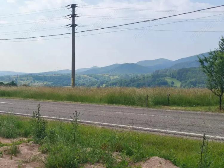 Casa+teren 5000mp, 70ml la DN 2E, zona Cacica, Radauti - 4