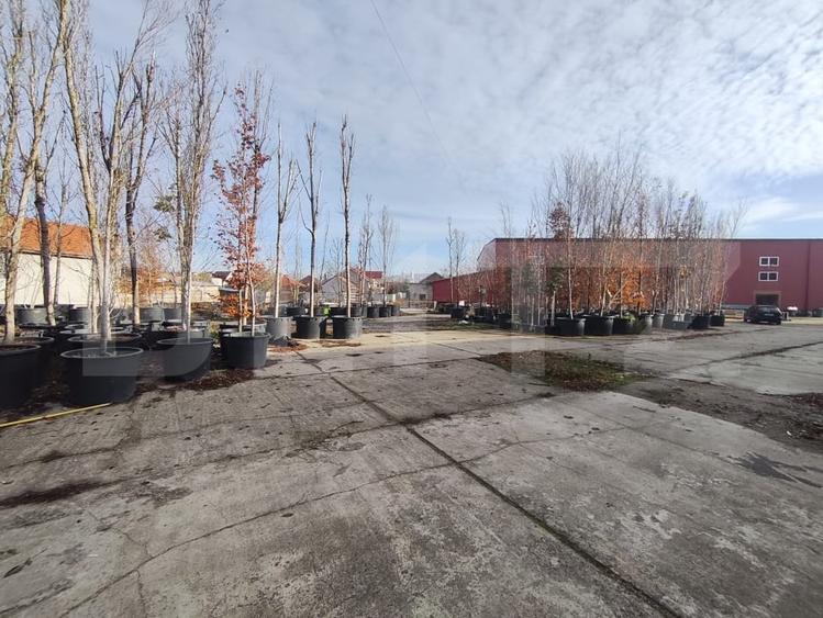 Teren Construcții intravilan de 10062 mp, în Oncea