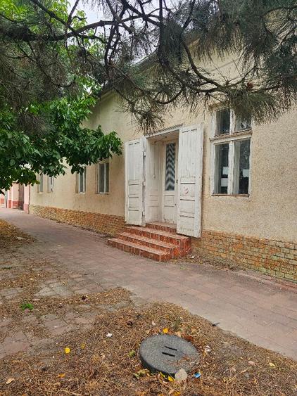 Casă individuală cu 4 camere cu Teren 2169 Mp în Beba Veche