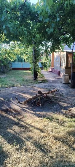 Casă cu 4 camere cu Teren 2500 Mp în Brădeanu