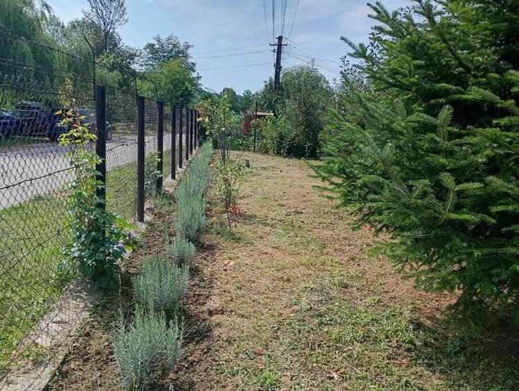 Casă individuală cu 2 camere cu Teren 1837 Mp în Bughea de Jos
