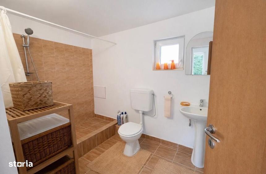 Casă cu 2 camere în Săldăbagiu de Munte