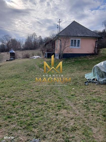 Casă cu 2 camere în Berința