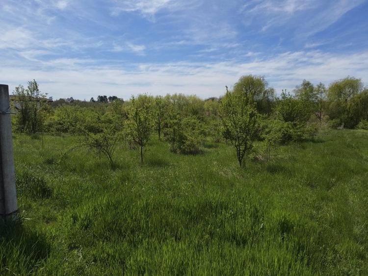 Lot de teren pentru casa in zona de vile noi | Aproape de centrul comunei Peris - 8