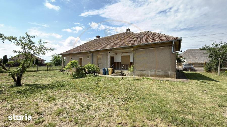 Casă cu 4 camere cu Teren 1955 Mp în Petrești