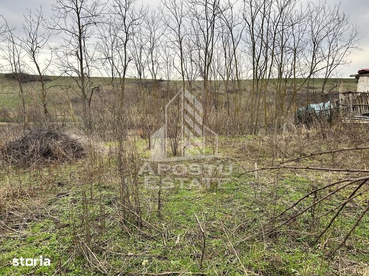 Teren de 1942 mp, în Central