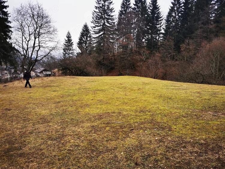 Teren de 2000 mp, în Stejaru (Pângărați)