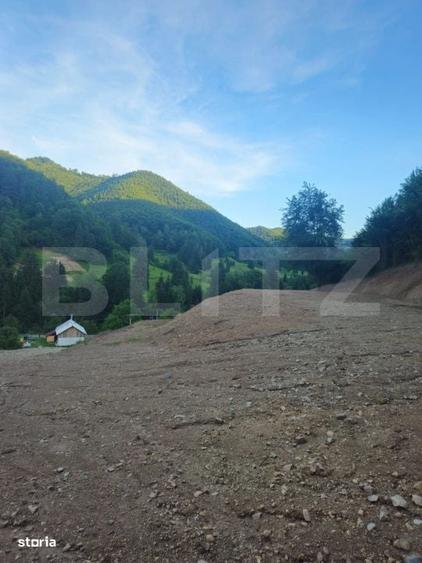 Teren de vanzare, 10.000 mp - Bistrita Bargaului, zona turistica - 9