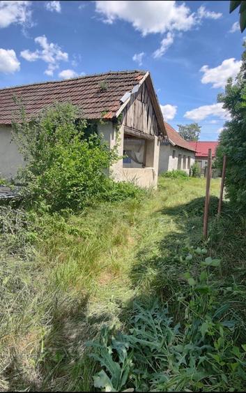 Casă cu 2 camere în Cheșa