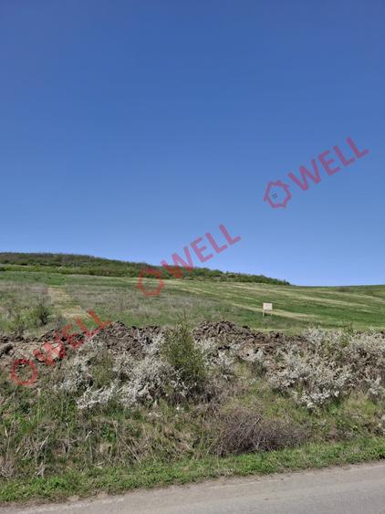 Teren agricol extravilan de 60000 mp, în Agrișteu