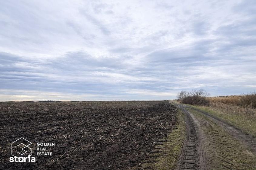 Teren de 17900 mp, în Sânmihaiu Român