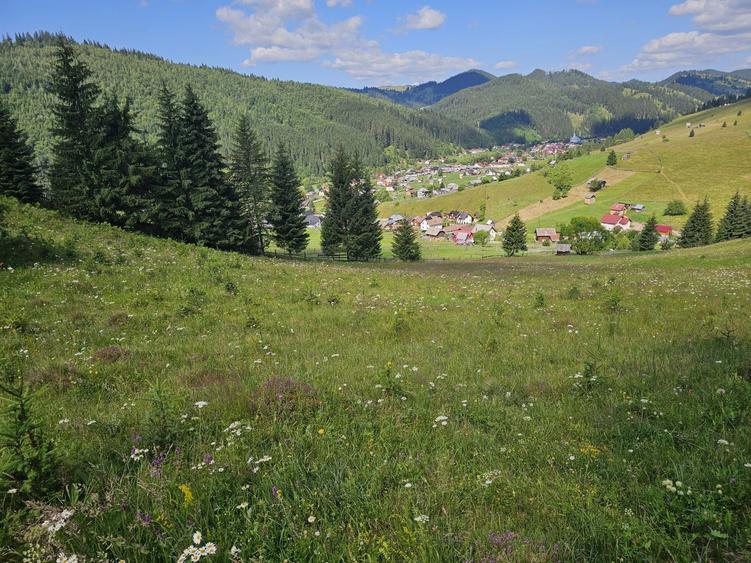 Teren extravilan de vanzare cu priveliste superba in Bucovina zona Breaza - 2