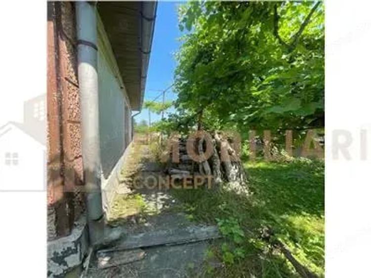 Casă cu Teren 2430 Mp în Satulung