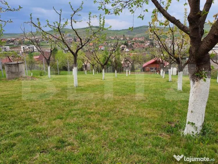 Cabana cu teren generos, 1824 mp, acces din 2 strazi Li - 1